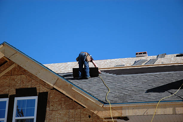Roof Gutter Cleaning